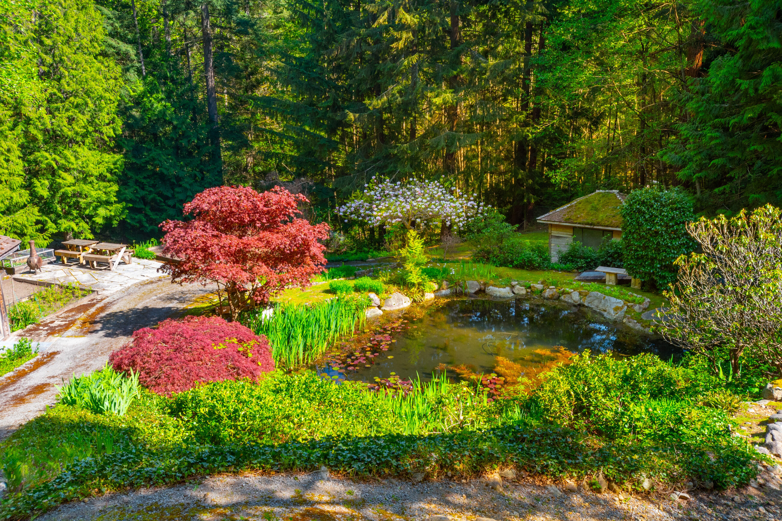 4228 Rockridge Crescent